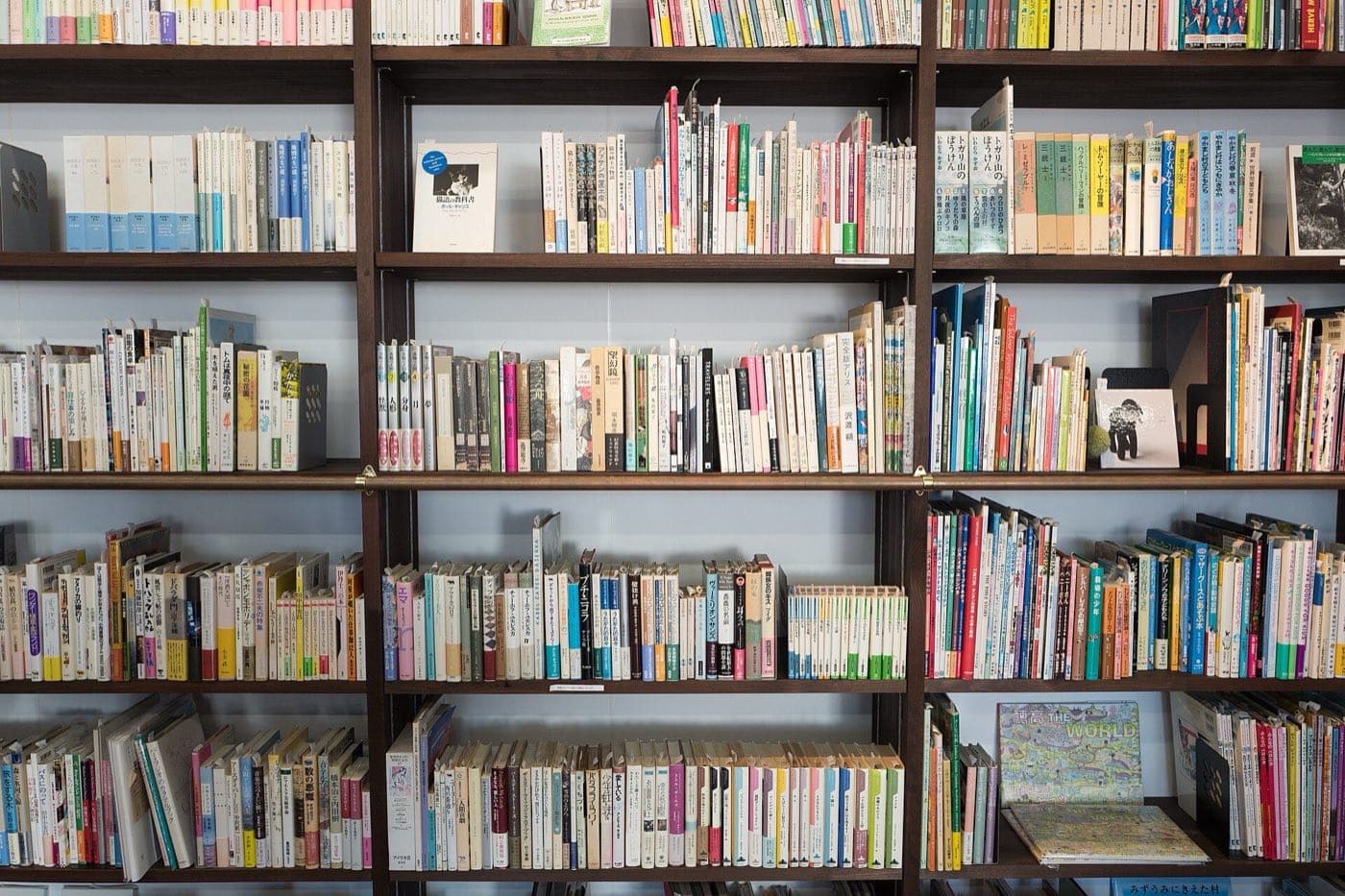Floor-to-ceiling shelves packed with books of every colour