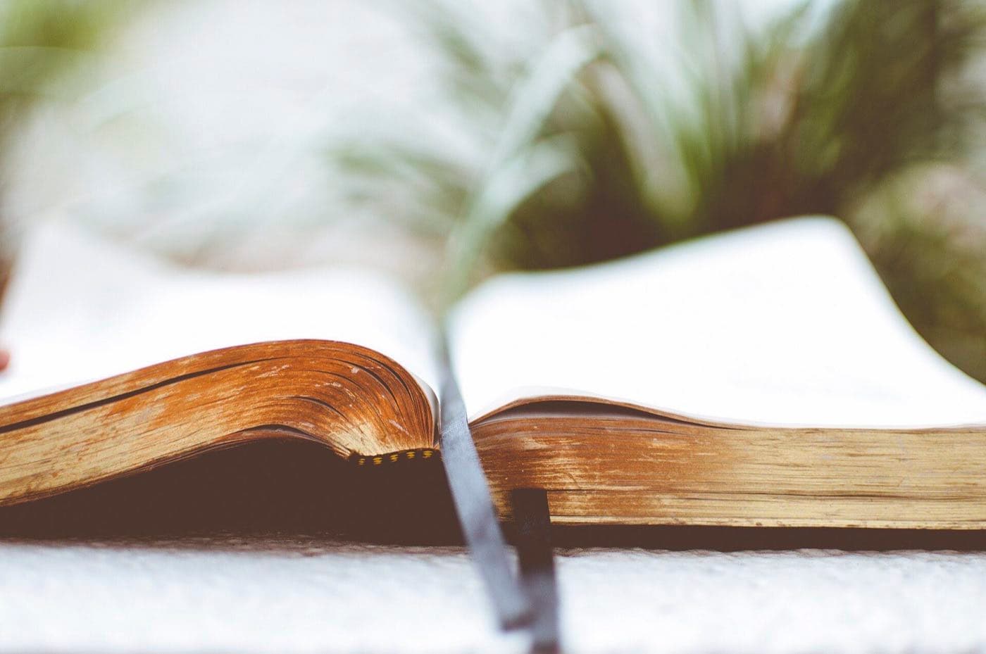 An open book lying on a table, its pages catching the light